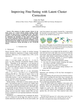 Improving Fine-Tuning with Latent Cluster Correction