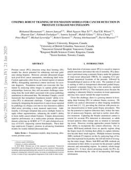 Cinepro: Robust Training of Foundation Models for Cancer Detection in Prostate Ultrasound Cineloops