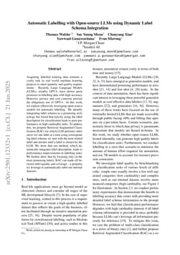 Automatic Labelling with Open-source LLMs using Dynamic Label Schema Integration