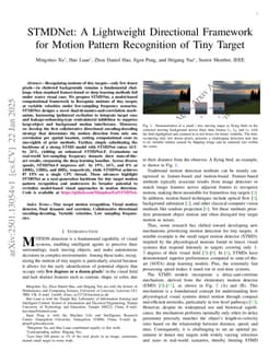 STMDNet: A Lightweight Directional Framework for Motion Pattern Recognition of Tiny Targets