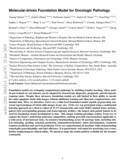 Molecular-driven Foundation Model for Oncologic Pathology
