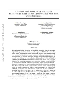 Assessing the Capability of YOLO- and Transformer-based Object Detectors for Real-time Weed Detection
