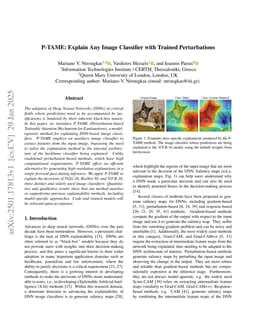 P-TAME: Explain Any Image Classifier with Trained Perturbations