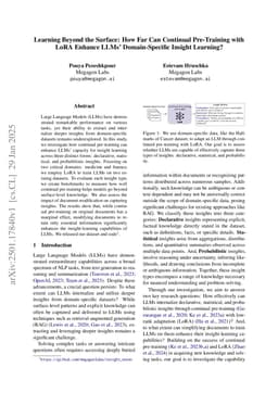 Learning Beyond the Surface: How Far Can Continual Pre-Training with LoRA Enhance LLMs' Domain-Specific Insight Learning?