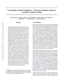 No Foundations without Foundations -- Why semi-mechanistic models are essential for regulatory biology