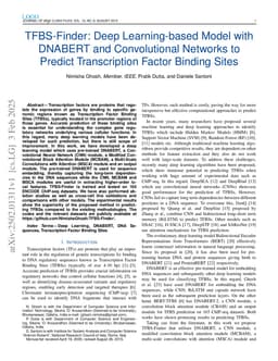 TFBS-Finder: Deep Learning-based Model with DNABERT and Convolutional Networks to Predict Transcription Factor Binding Sites