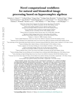Novel computational workflows for natural and biomedical image processing based on hypercomplex algebras