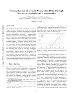 Standardisation of Convex Ultrasound Data Through Geometric Analysis and Augmentation