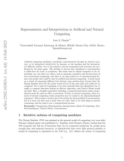 Representation and Interpretation in Artificial and Natural Computing