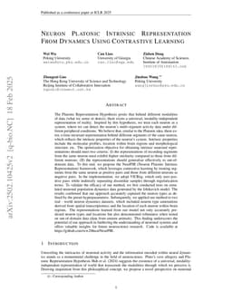 Neuron Platonic Intrinsic Representation From Dynamics Using Contrastive Learning
