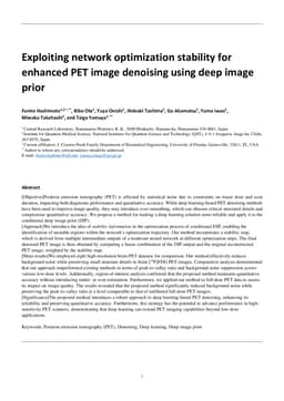 Exploiting network optimization stability for enhanced PET image denoising using deep image prior
