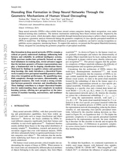 Revealing Bias Formation in Deep Neural Networks Through the Geometric Mechanisms of Human Visual Decoupling