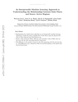 An Interpretable Machine Learning Approach to Understanding the Relationships between Solar Flares and Source Active Regions