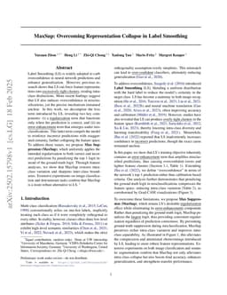 MaxSup: Overcoming Representation Collapse in Label Smoothing