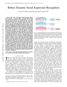 Robust Dynamic Facial Expression Recognition