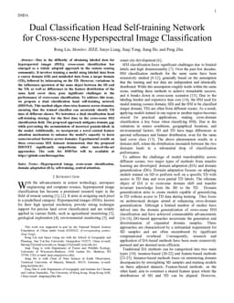 Dual Classification Head Self-training Network for Cross-scene Hyperspectral Image Classification