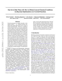 One Set to Rule Them All: How to Obtain General Chemical Conditions via Bayesian Optimization over Curried Functions