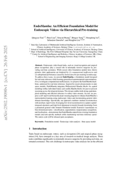 EndoMamba: An Efficient Foundation Model for Endoscopic Videos via Hierarchical Pre-training