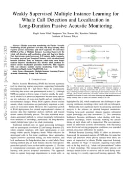 Weakly Supervised Multiple Instance Learning for Whale Call Detection and Localization in Long-Duration Passive Acoustic Monitoring