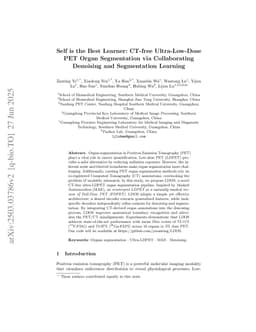 Self is the Best Learner: CT-free Ultra-Low-Dose PET Organ Segmentation via Collaborating Denoising and Segmentation Learning