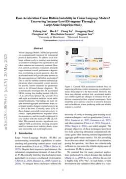 Does Acceleration Cause Hidden Instability in Vision Language Models? Uncovering Instance-Level Divergence Through a Large-Scale Empirical Study