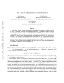 Are Convex Optimization Curves Convex?