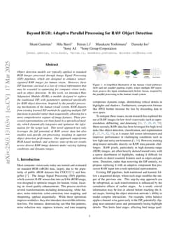 Beyond RGB: Adaptive Parallel Processing for RAW Object Detection