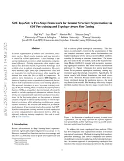 SDF-TopoNet: A Two-Stage Framework for Tubular Structure Segmentation via SDF Pre-training and Topology-Aware Fine-Tuning