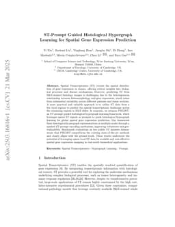 PH2ST:ST-Prompt Guided Histological Hypergraph Learning for Spatial Gene Expression Prediction