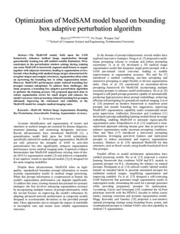 Optimization of MedSAM model based on bounding box adaptive perturbation algorithm