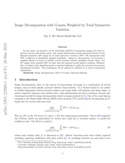 Image Decomposition with G-norm Weighted by Total Symmetric Variation