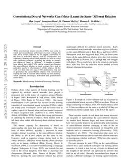 Convolutional Neural Networks Can (Meta-)Learn the Same-Different Relation