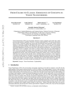 From Colors to Classes: Emergence of Concepts in Vision Transformers