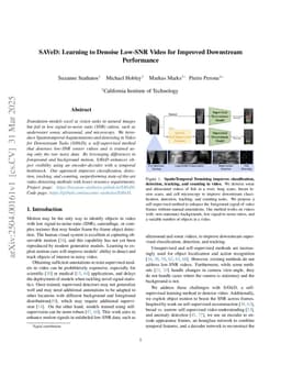 SAVeD: Learning to Denoise Low-SNR Video for Improved Downstream Performance