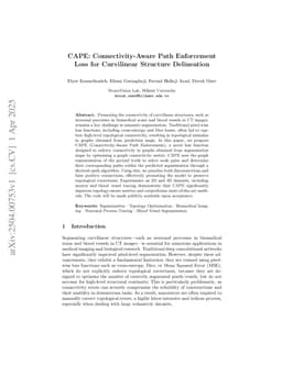CAPE: Connectivity-Aware Path Enforcement Loss for Curvilinear Structure Delineation