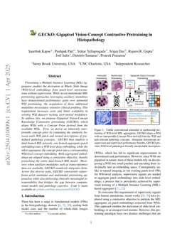 GECKO: Gigapixel Vision-Concept Contrastive Pretraining in Histopathology