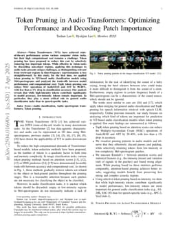 Token Pruning in Audio Transformers: Optimizing Performance and Decoding Patch Importance