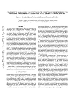 Comparative Analysis of Unsupervised and Supervised Autoencoders for Nuclei Classification in Clear Cell Renal Cell Carcinoma Images