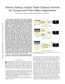Saliency-Motion Guided Trunk-Collateral Network for Unsupervised Video Object Segmentation