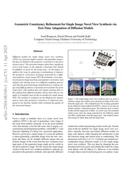 Geometric Consistency Refinement for Single Image Novel View Synthesis via Test-Time Adaptation of Diffusion Models