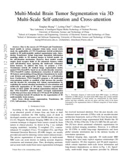 Multi-Modal Brain Tumor Segmentation via 3D Multi-Scale Self-attention and Cross-attention