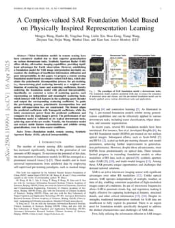 A Complex-valued SAR Foundation Model Based on Physically Inspired Representation Learning