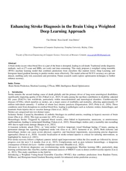 Enhancing Stroke Diagnosis in the Brain Using a Weighted Deep Learning Approach