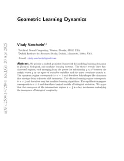Geometric Learning Dynamics