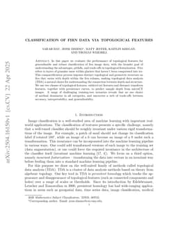 Classification of Firn Data via Topological Features