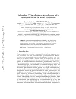Enhancing CNNs robustness to occlusions with bioinspired filters for border completion