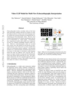 Video CLIP Model for Multi-View Echocardiography Interpretation