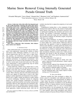 Marine Snow Removal Using Internally Generated Pseudo Ground Truth