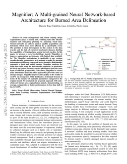 Magnifier: A Multi-grained Neural Network-based Architecture for Burned Area Delineation
