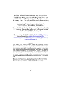 Hybrid Approach Combining Ultrasound and Blood Test Analysis with a Voting Classifier for Accurate Liver Fibrosis and Cirrhosis Assessment